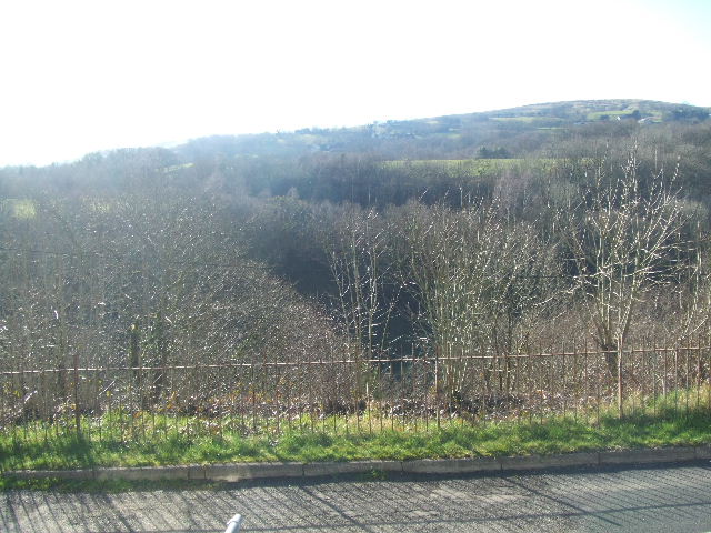 View from front of house