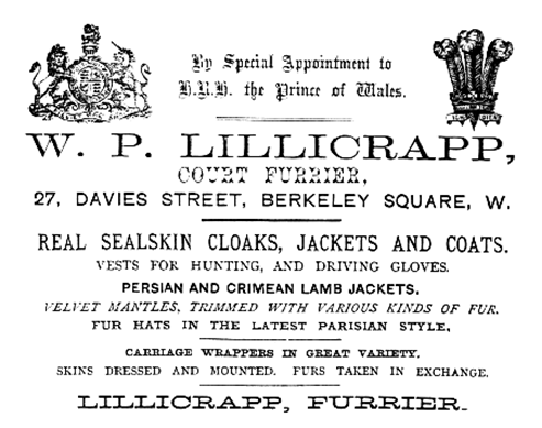 Lillicrapp Furrier Advertisement