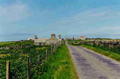 Papa Westray in summer