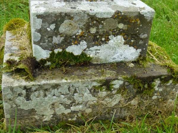 Close-up of Tom James Price memorial