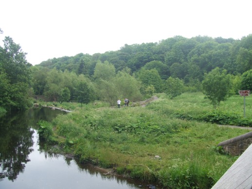 Green oasis on the Water of Leith