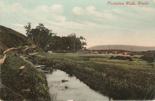 Plantation Walk, Wooler